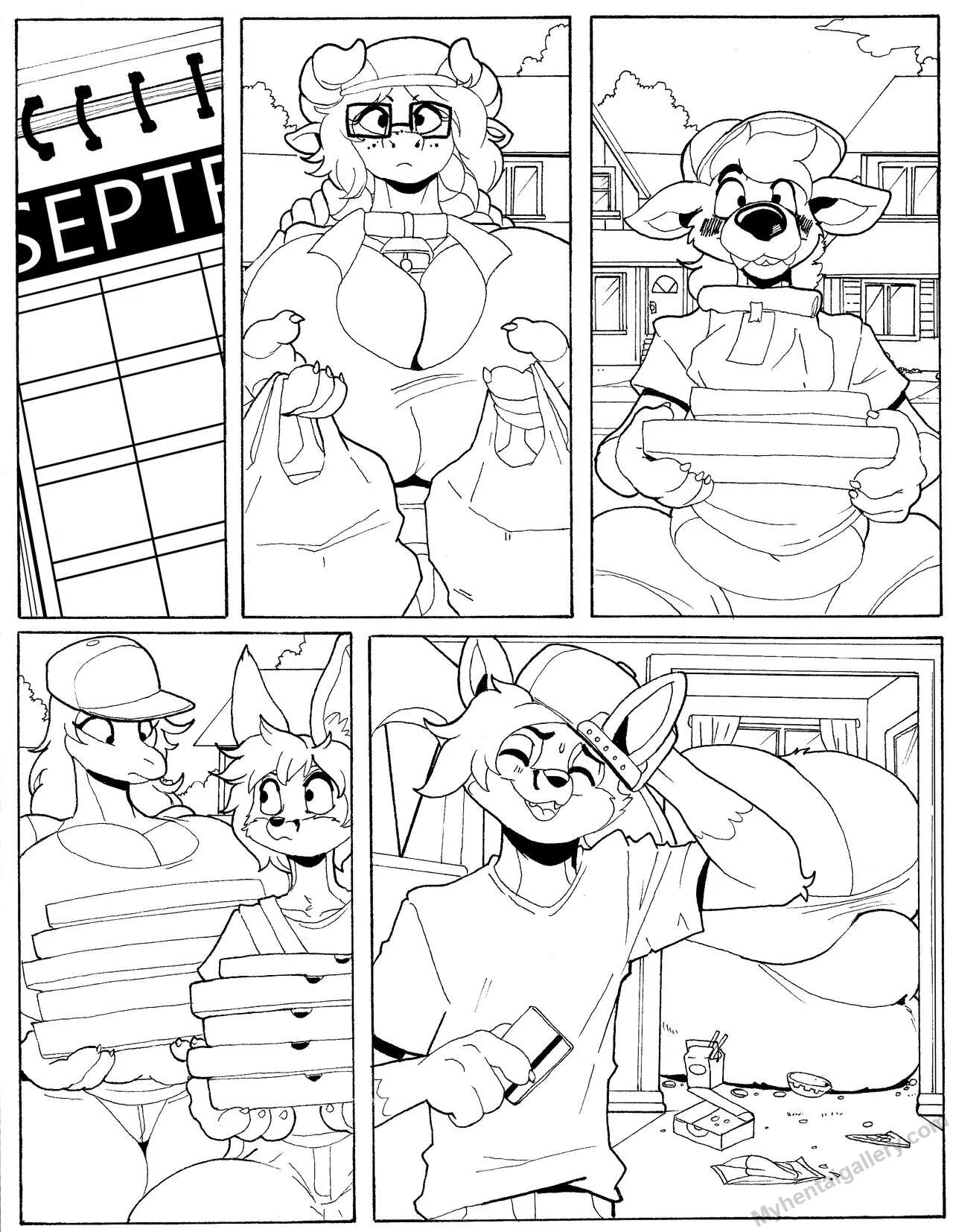 Page 5