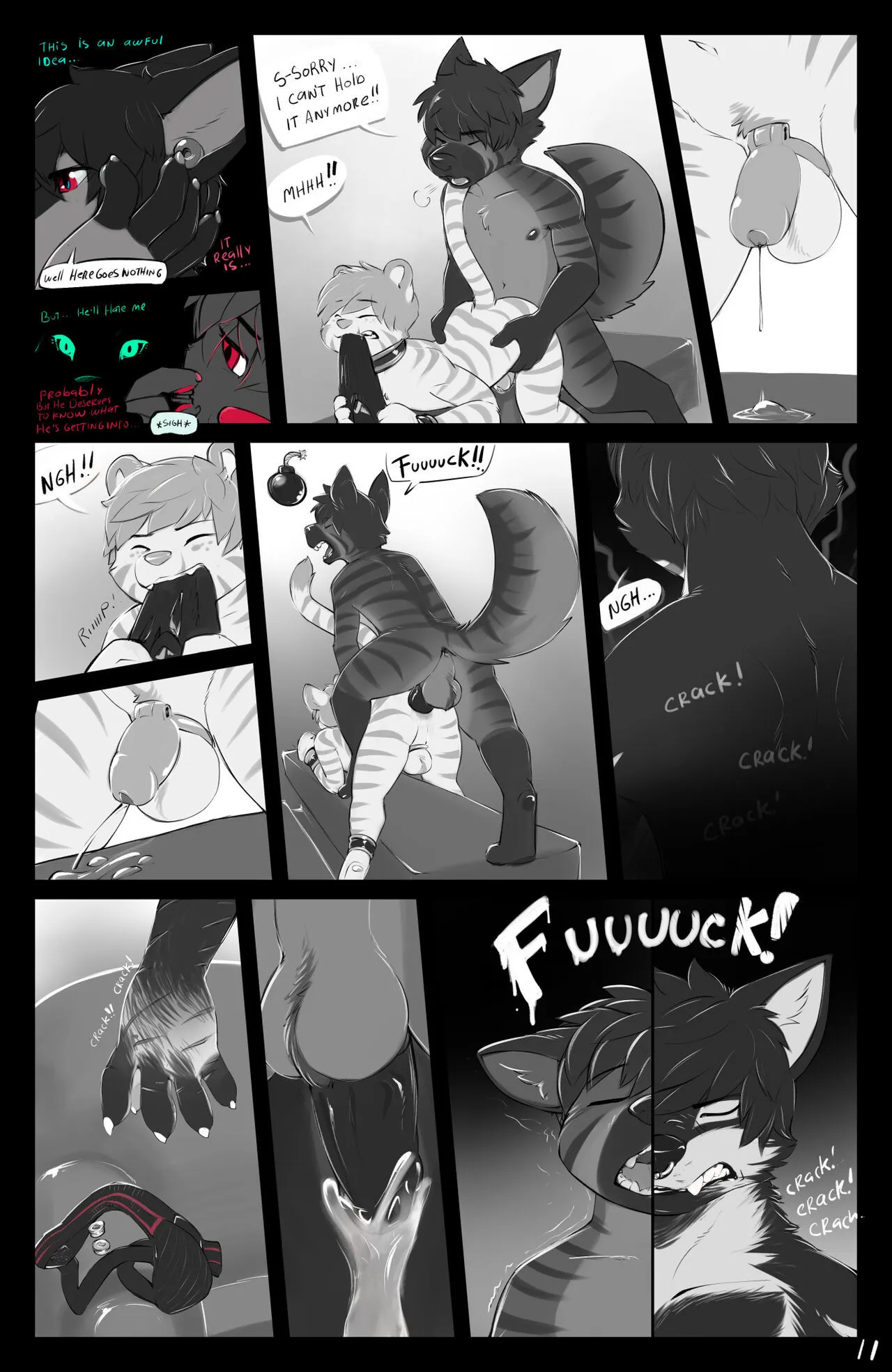Page 11