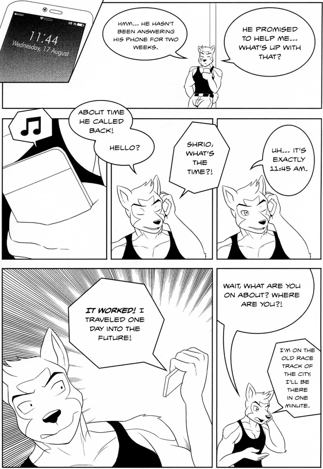 Page 4
