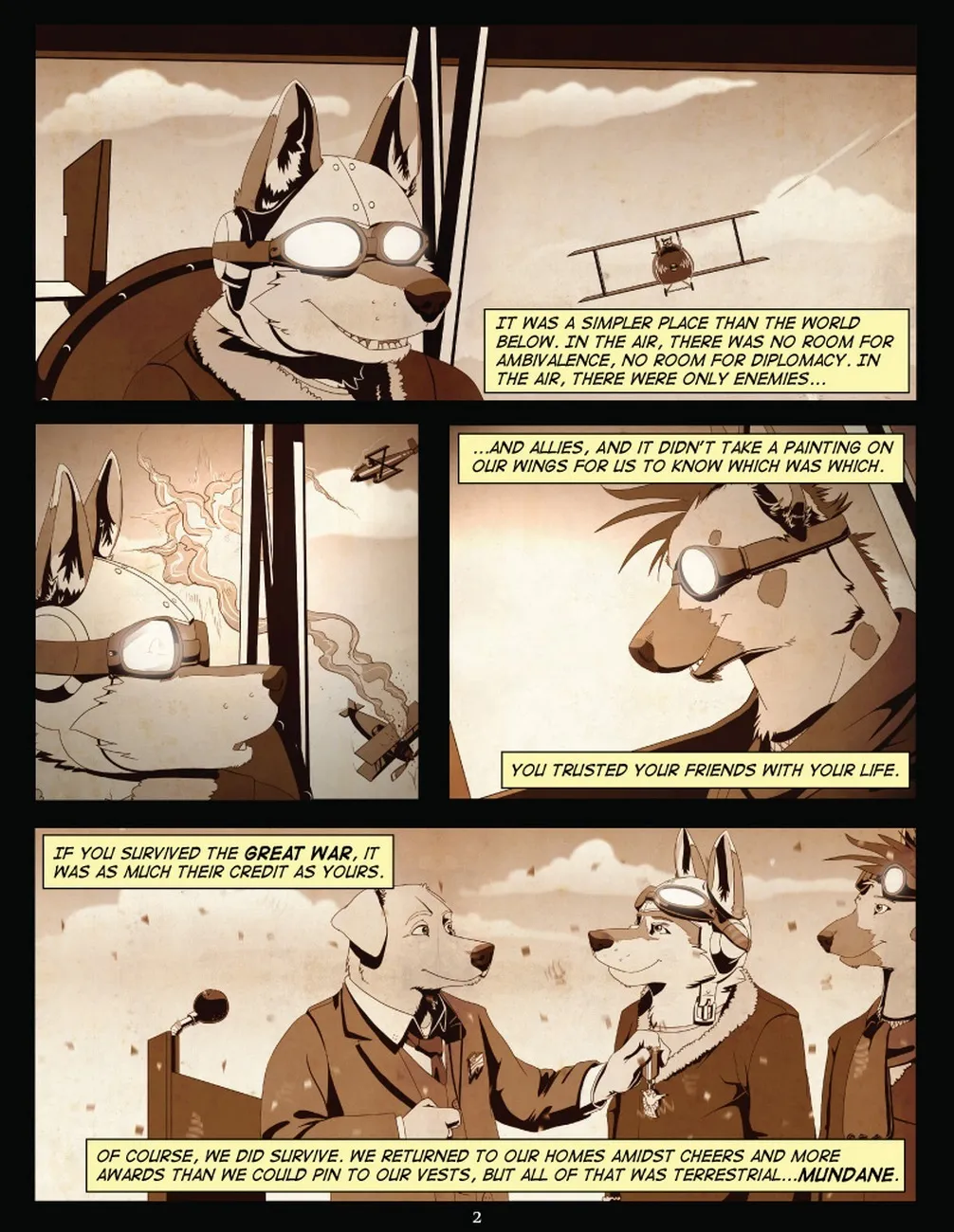 Page 3