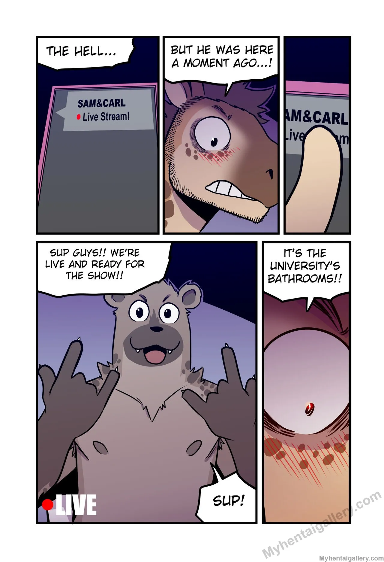 Page 17