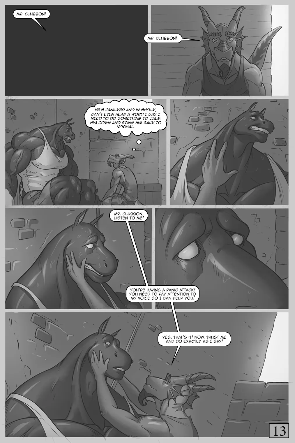 Page 13