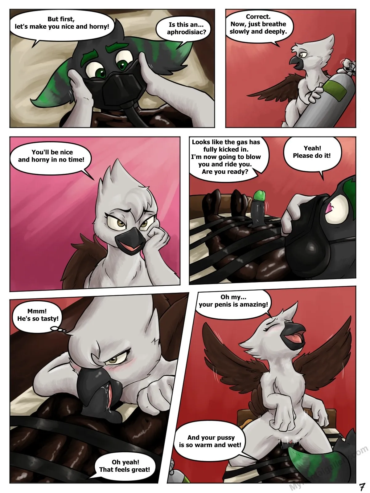 Page 7