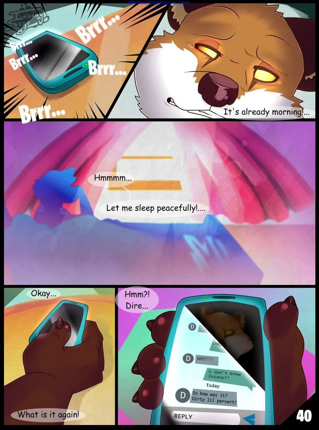 Page 41