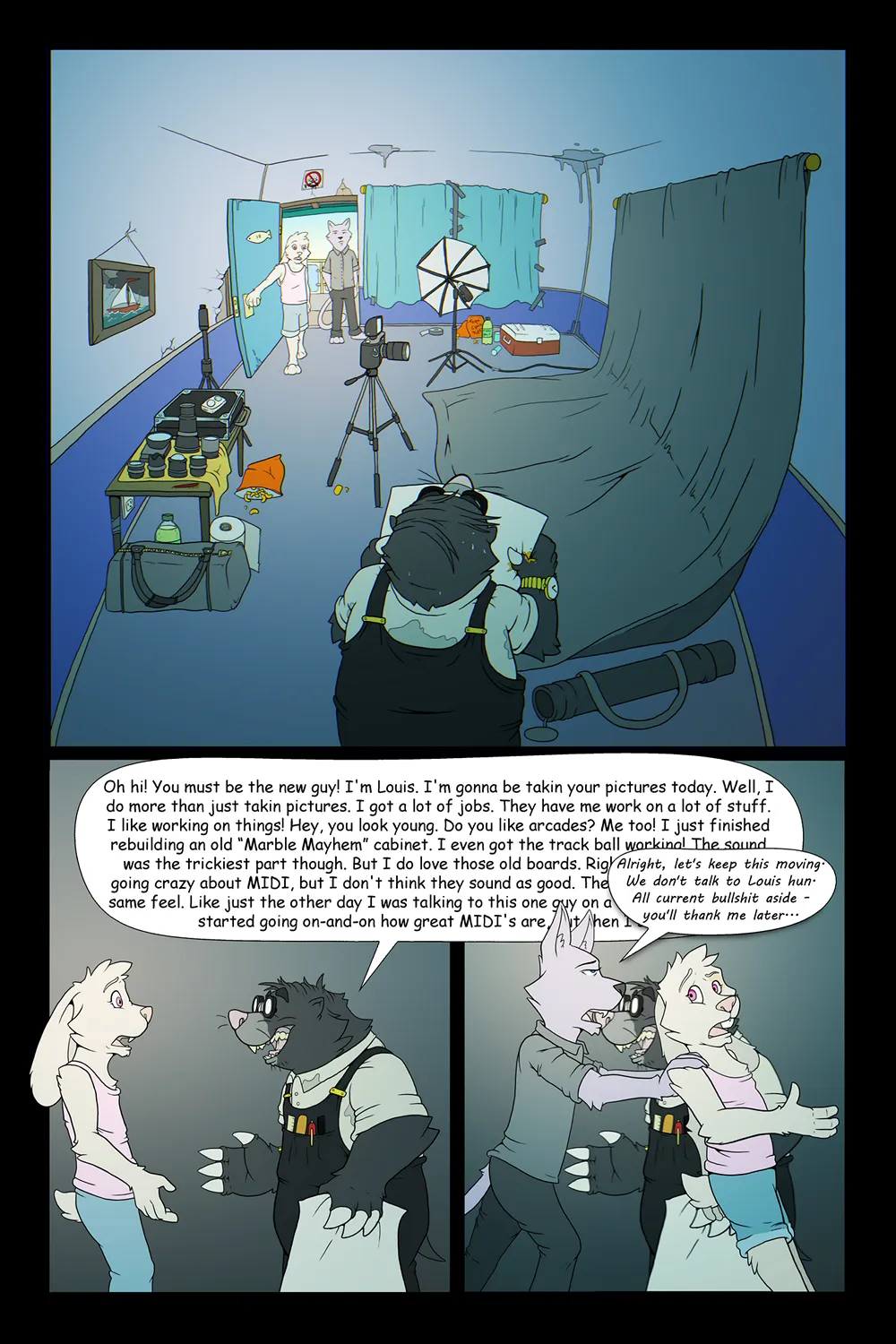 Page 5