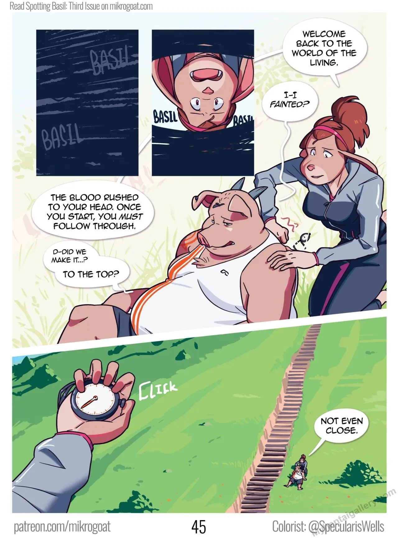 Page 45