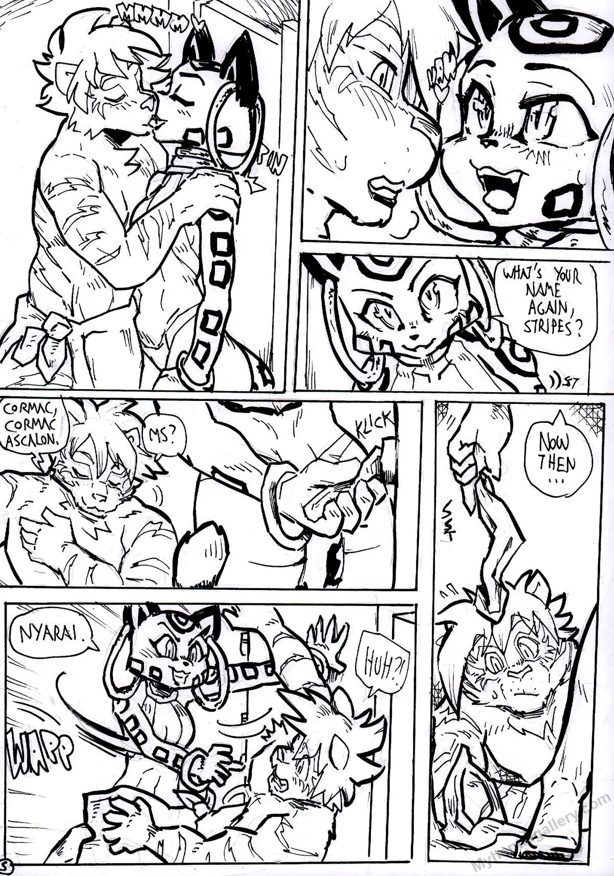 Page 5