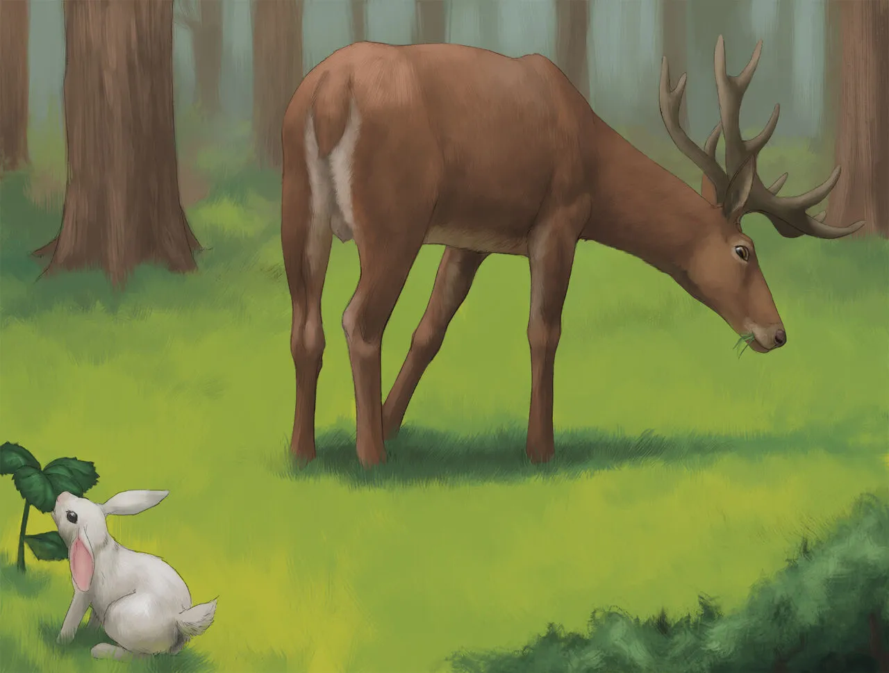 Rabbit Season! porno comics Cover