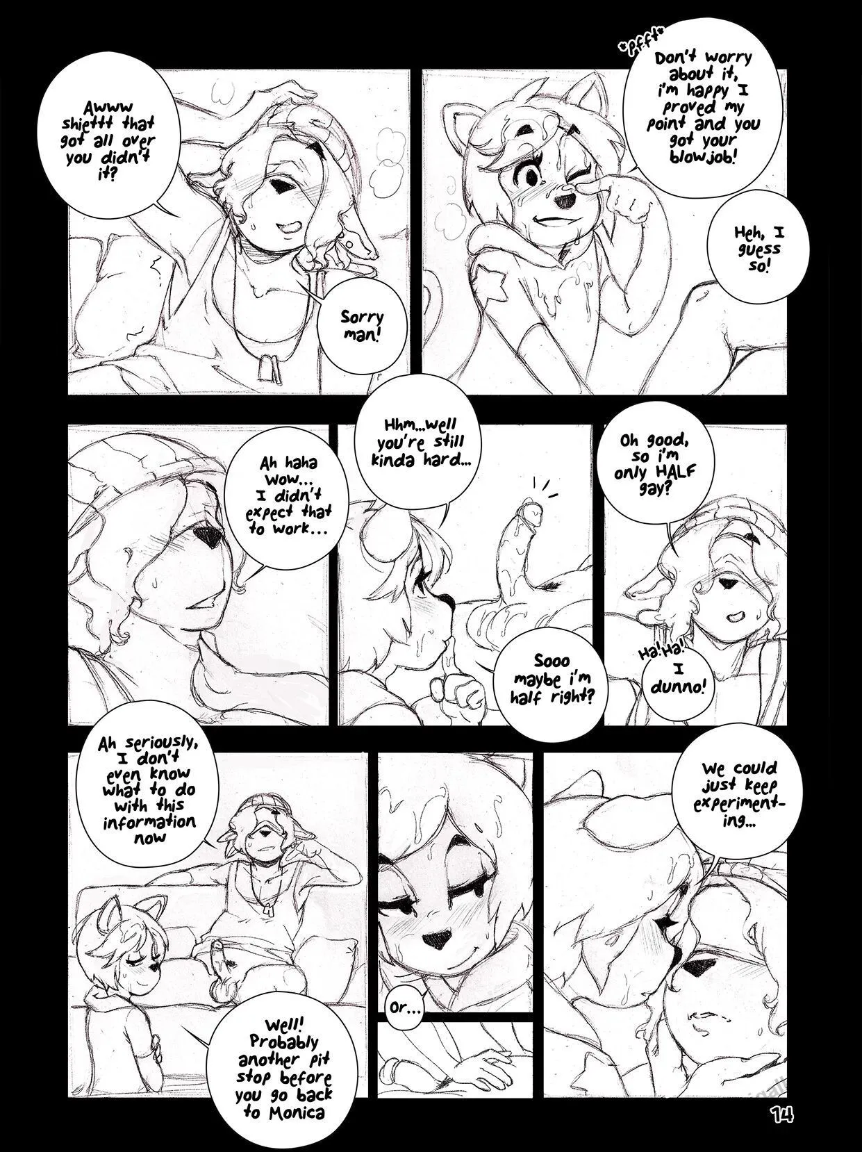 Page 14