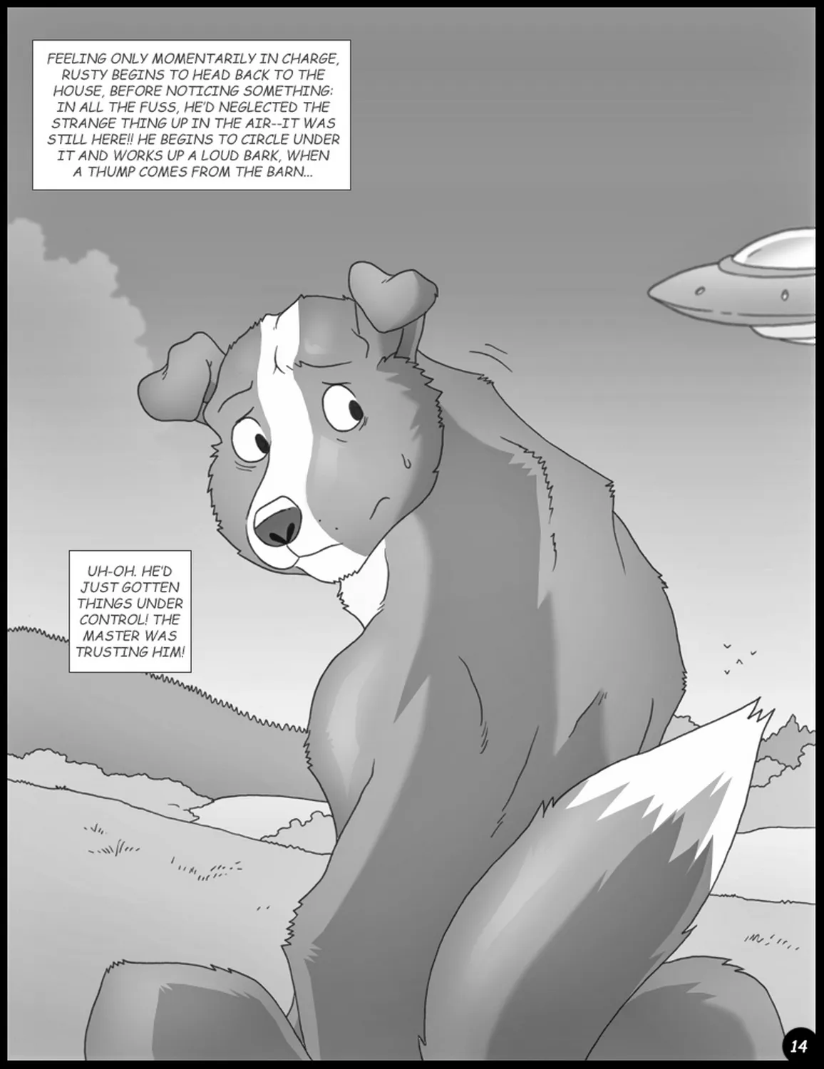 Page 14