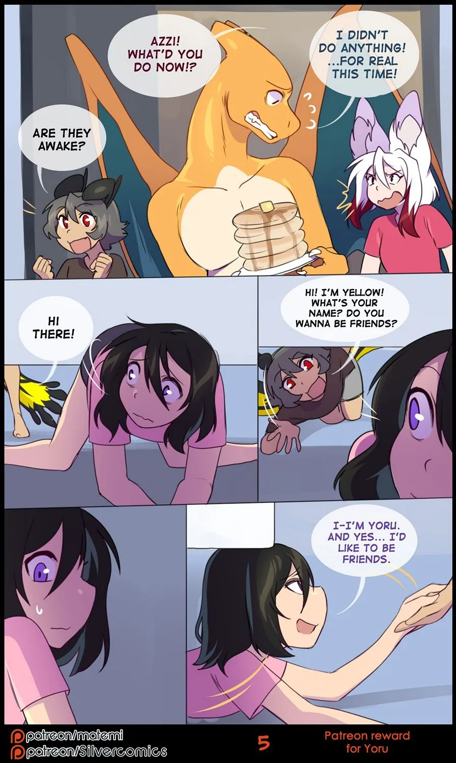 Page 5