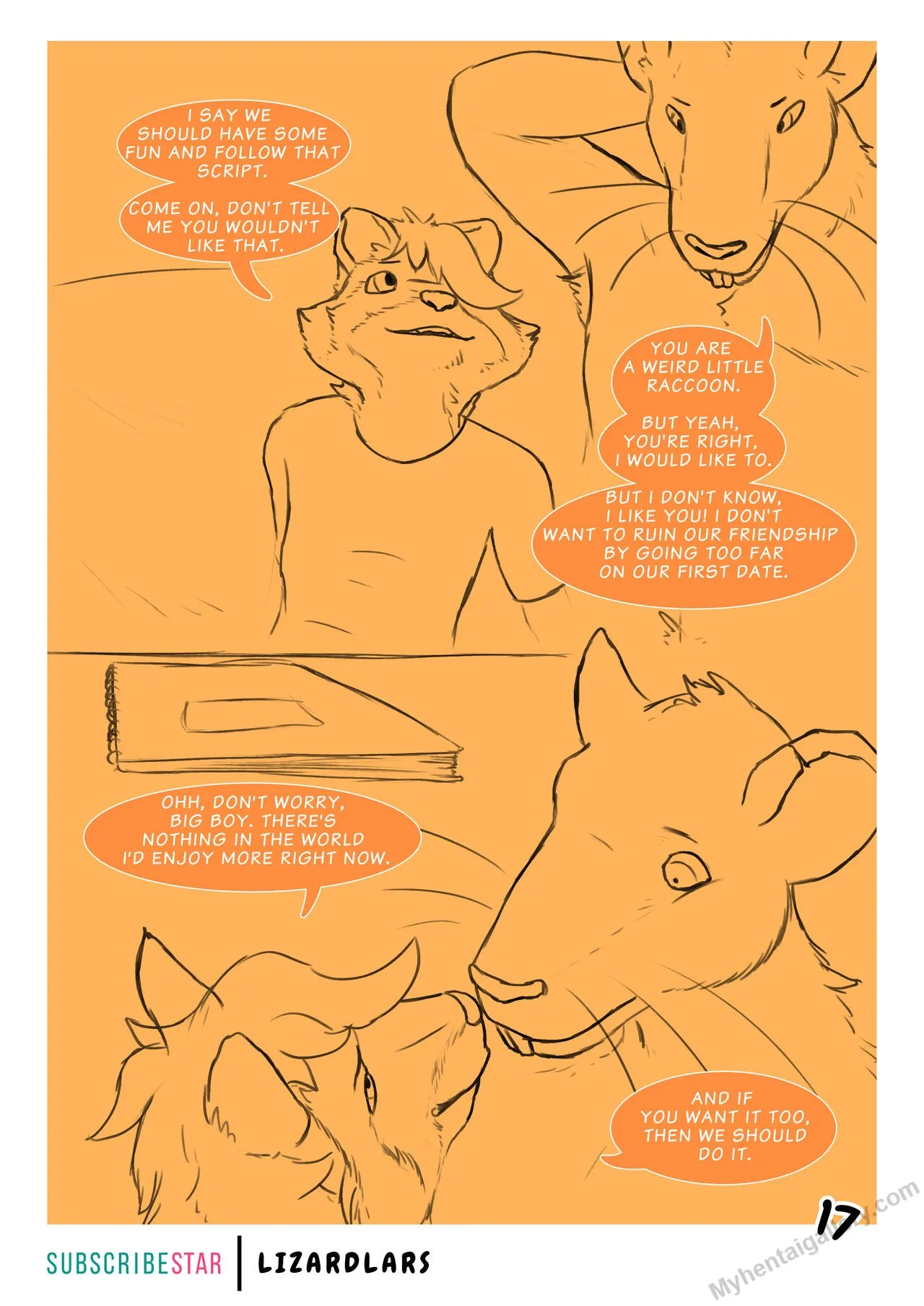 Page 17