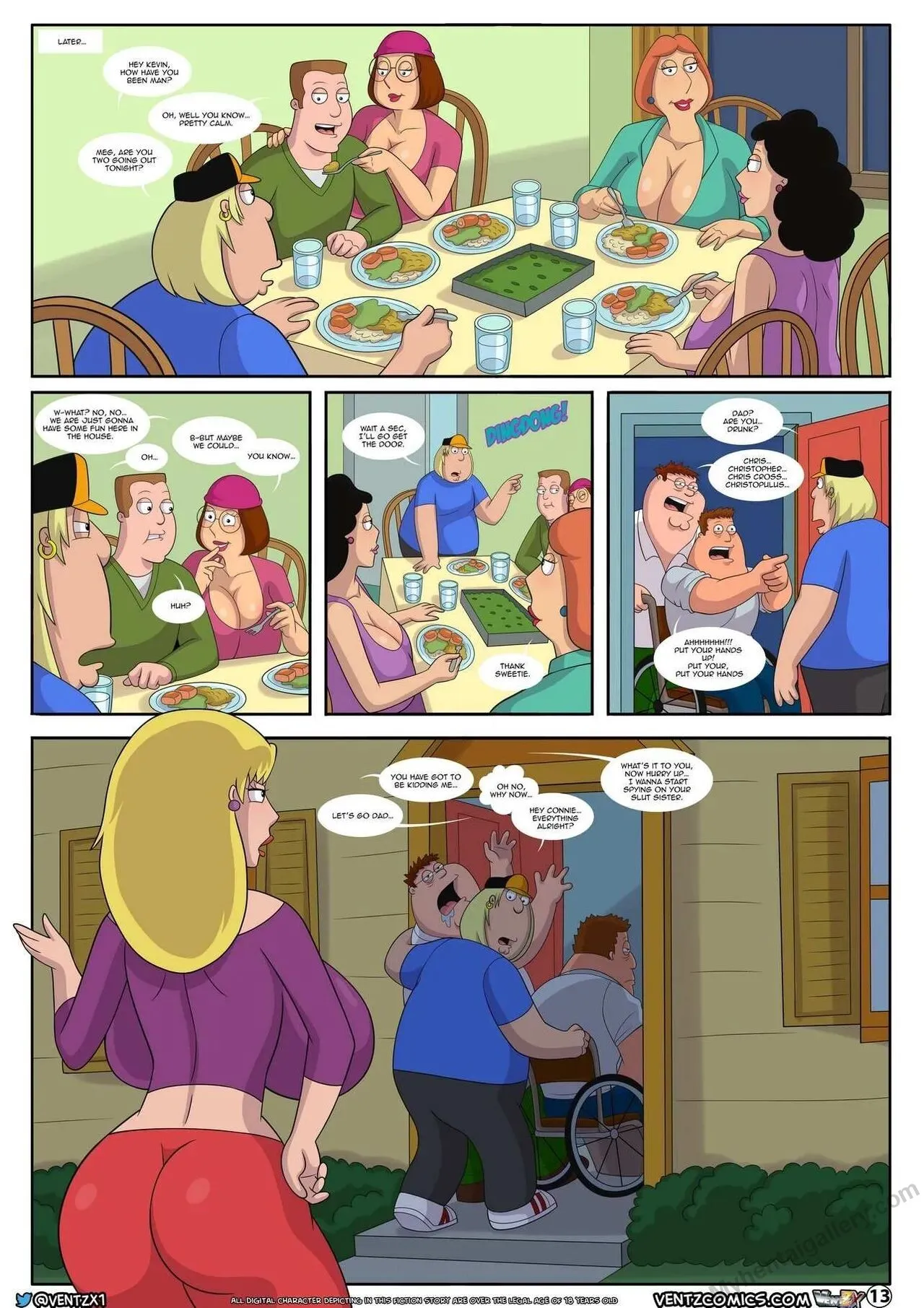 Page 13