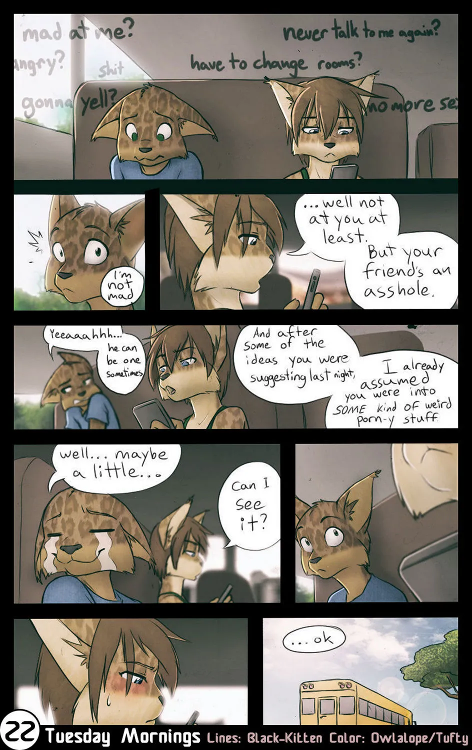 Page 22