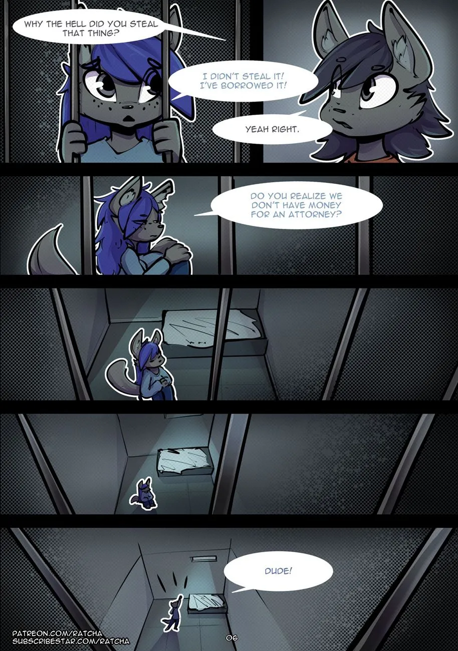 Page 6