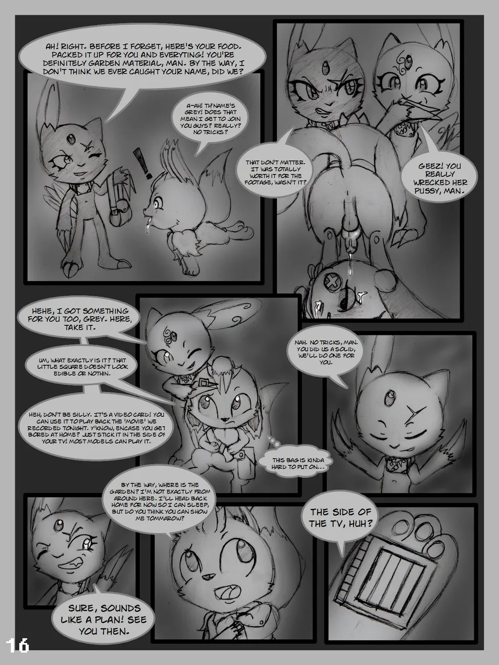 Page 16