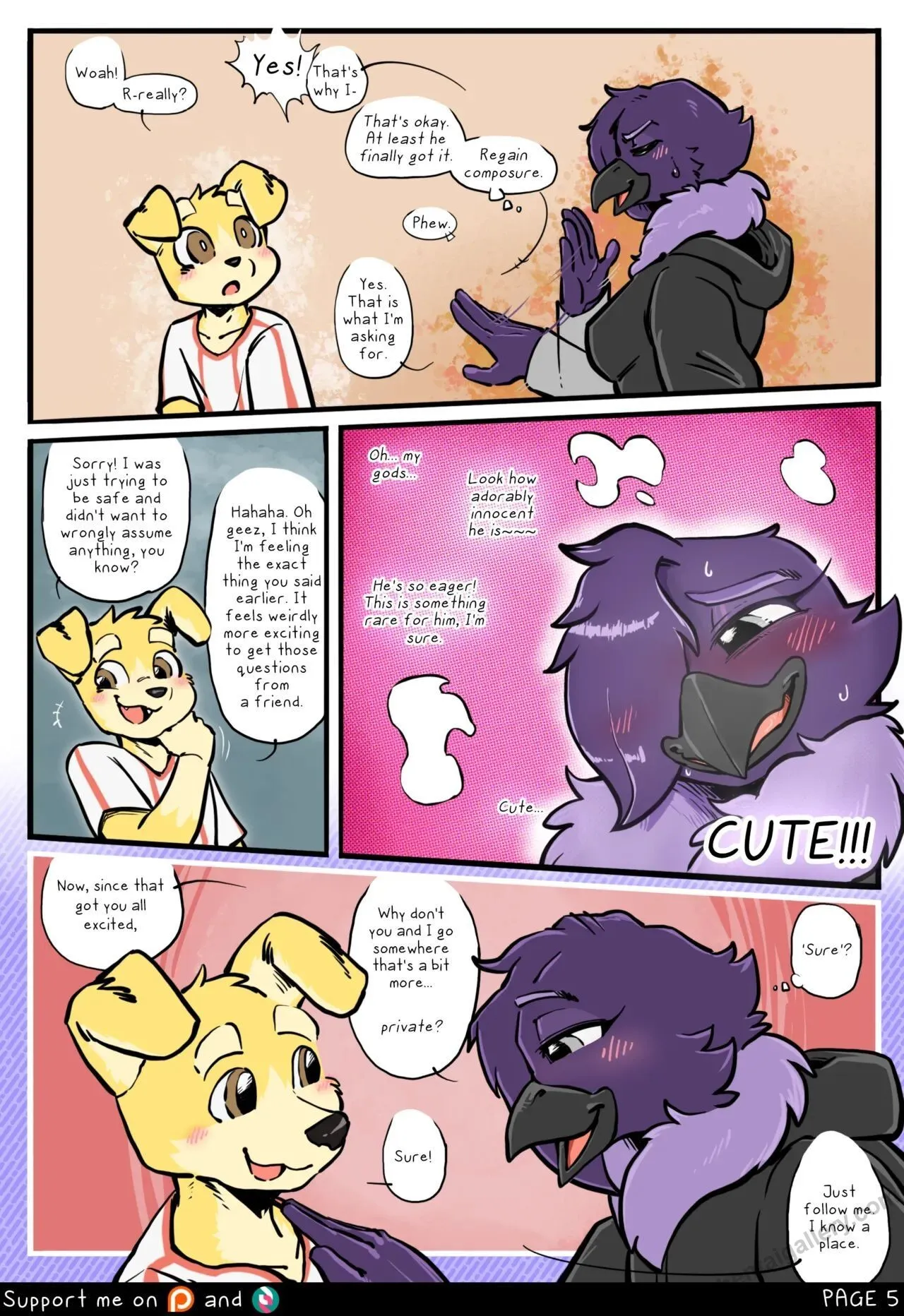 Page 5