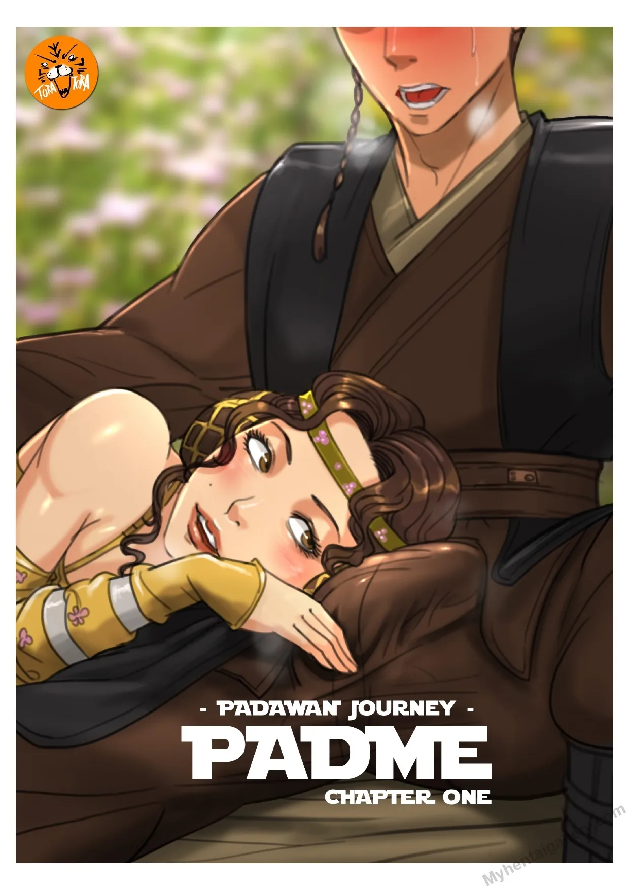 Padawan Journey - Padme 1 porno comics