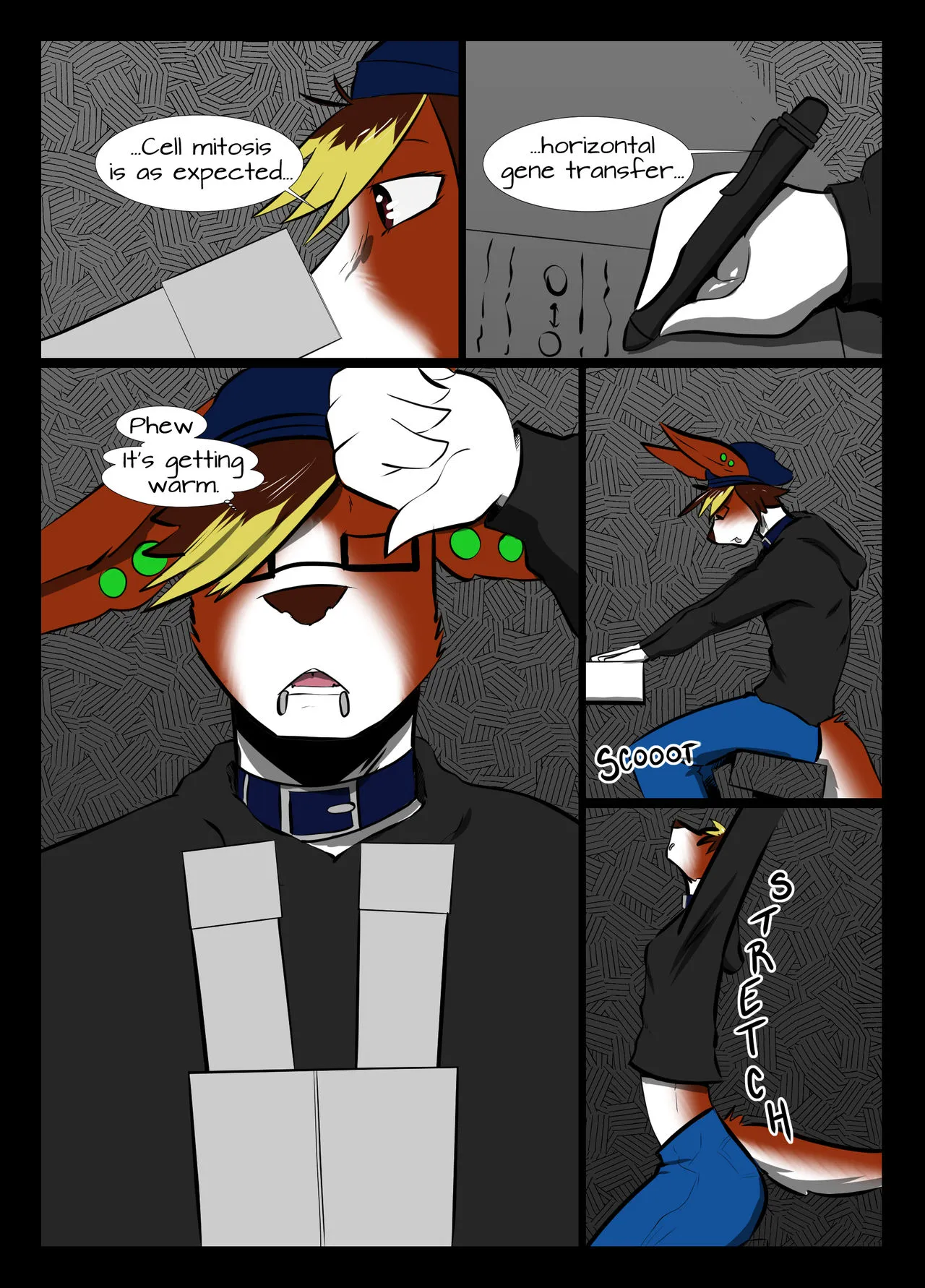Page 3
