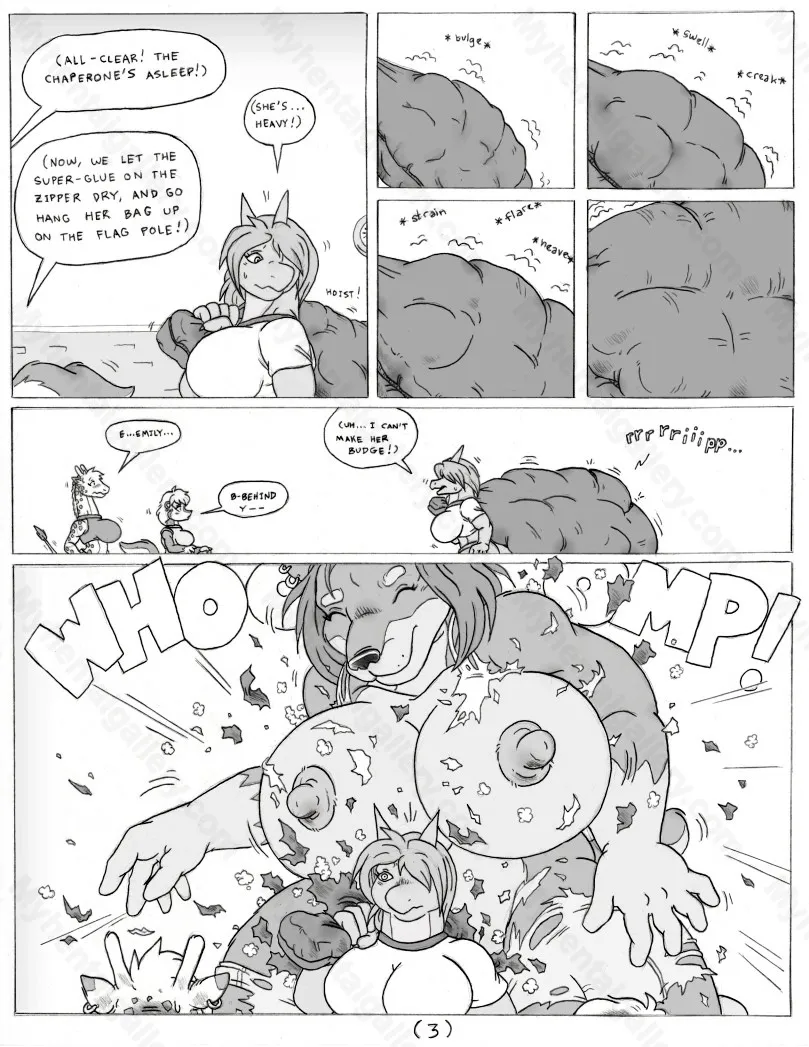 Page 3