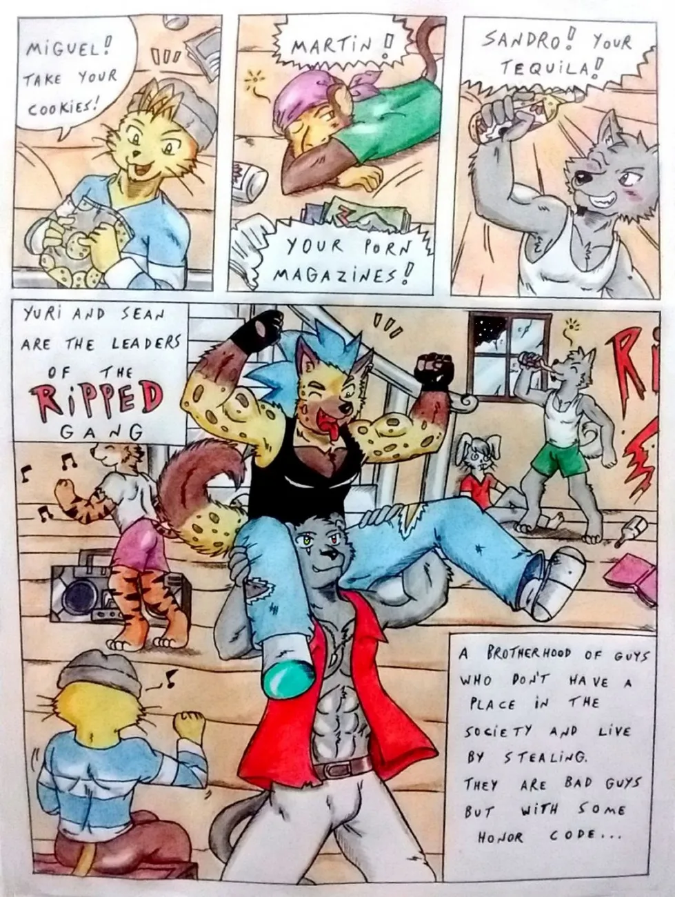 Page 5