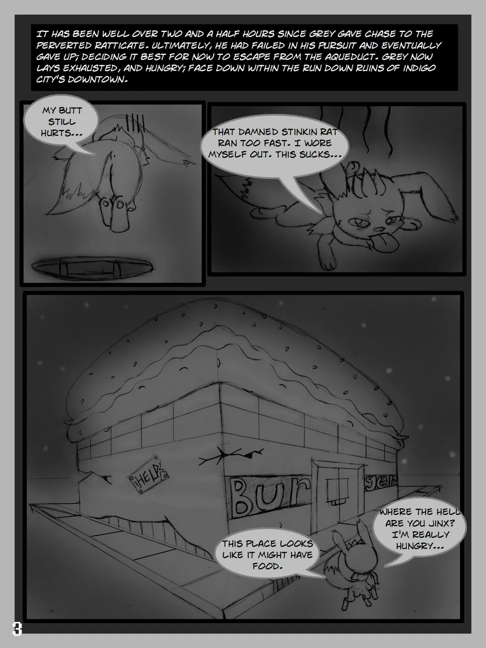 Page 3