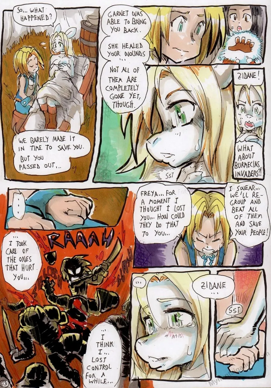 Page 13