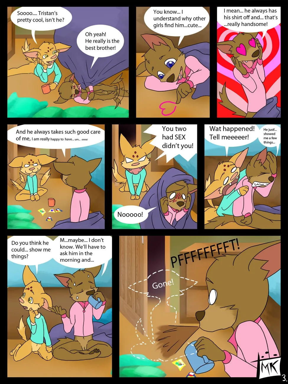 Page 3