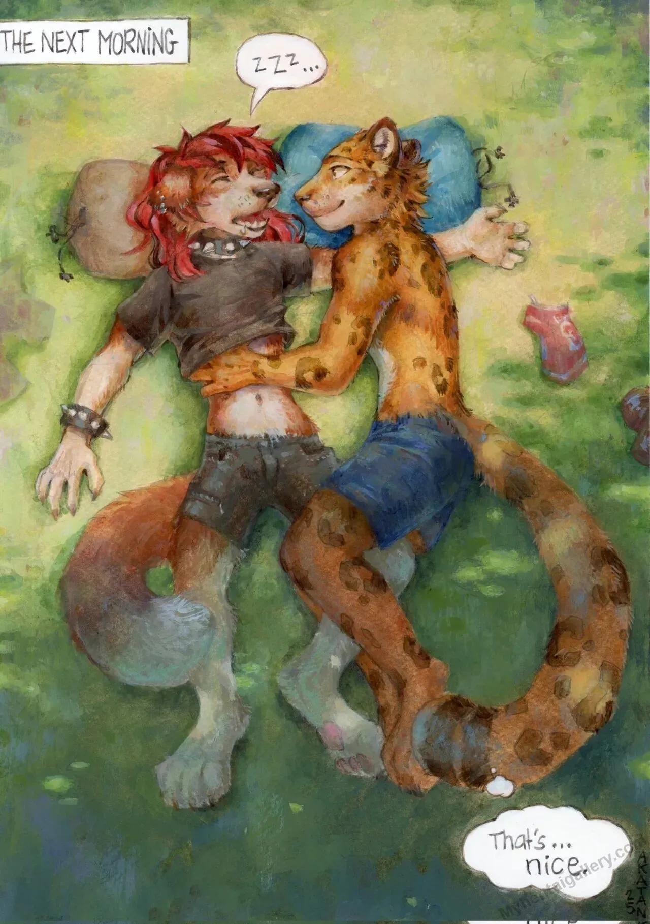 Page 13