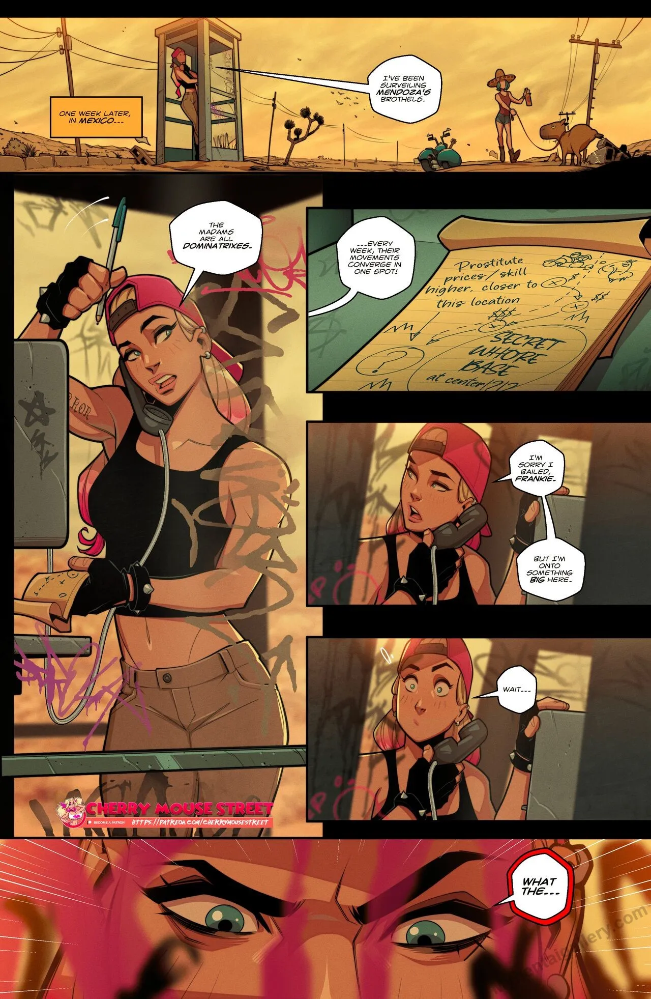 Page 17