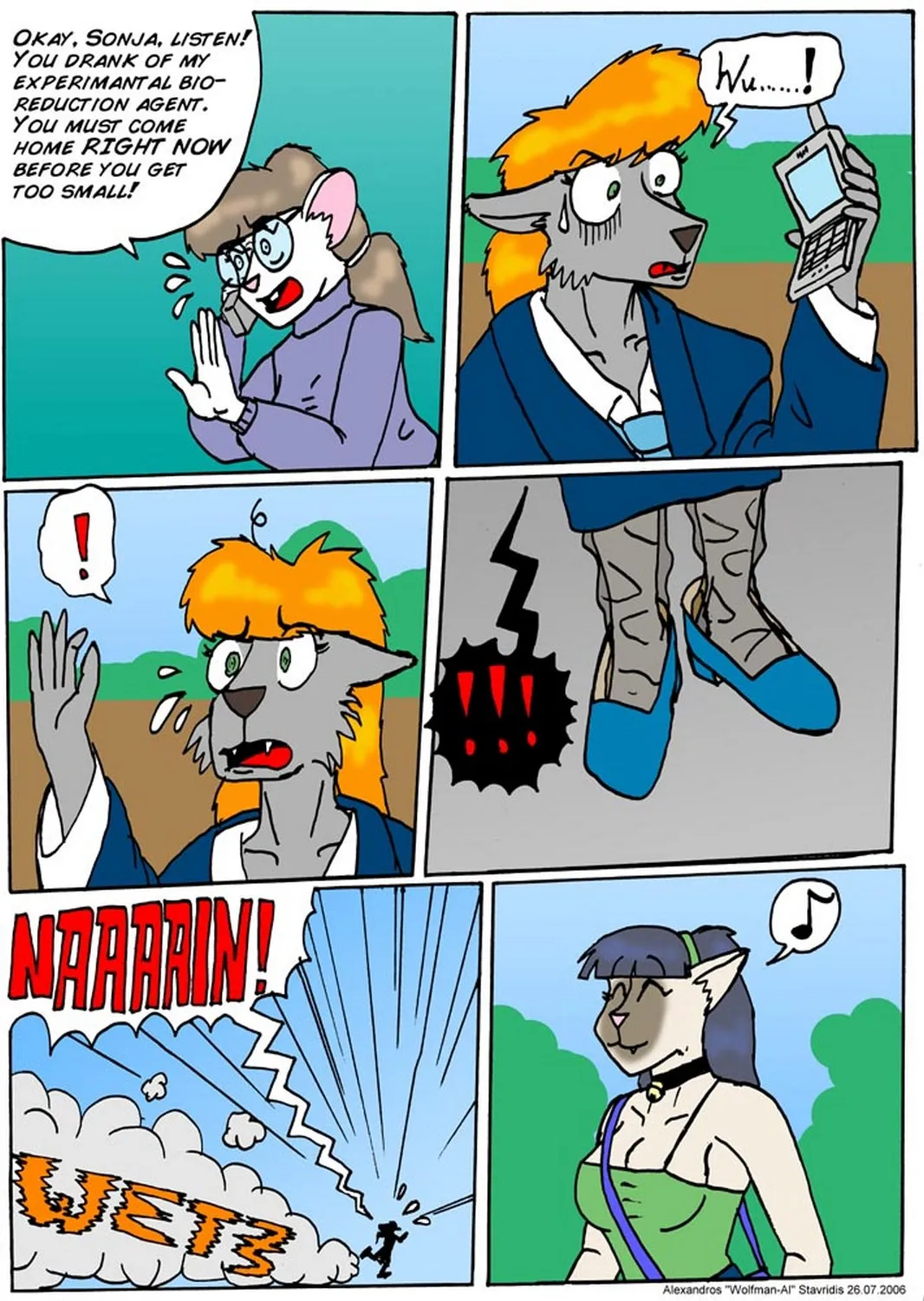 Page 6