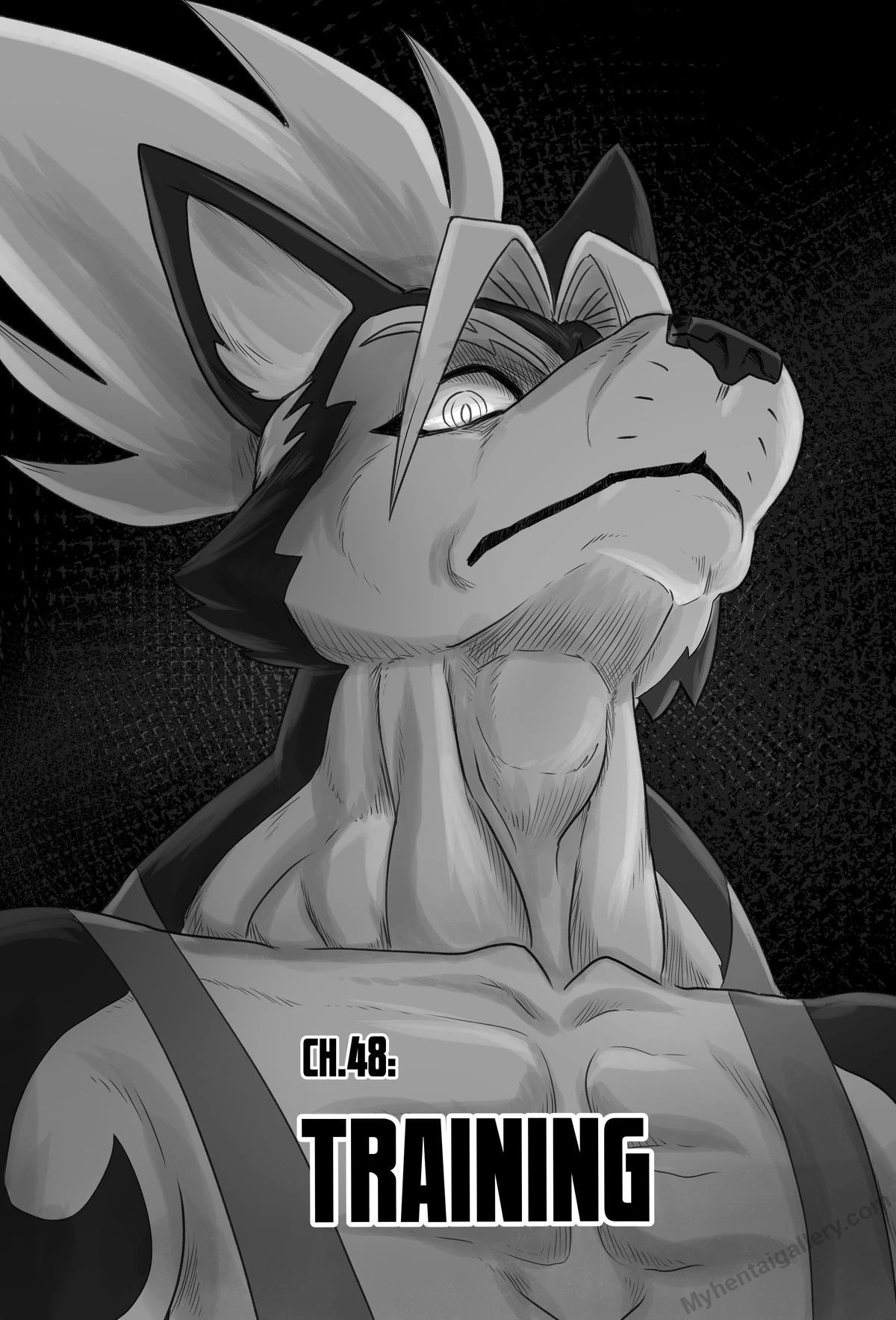 Furry Fight Chronicles 48 - Training porno comics