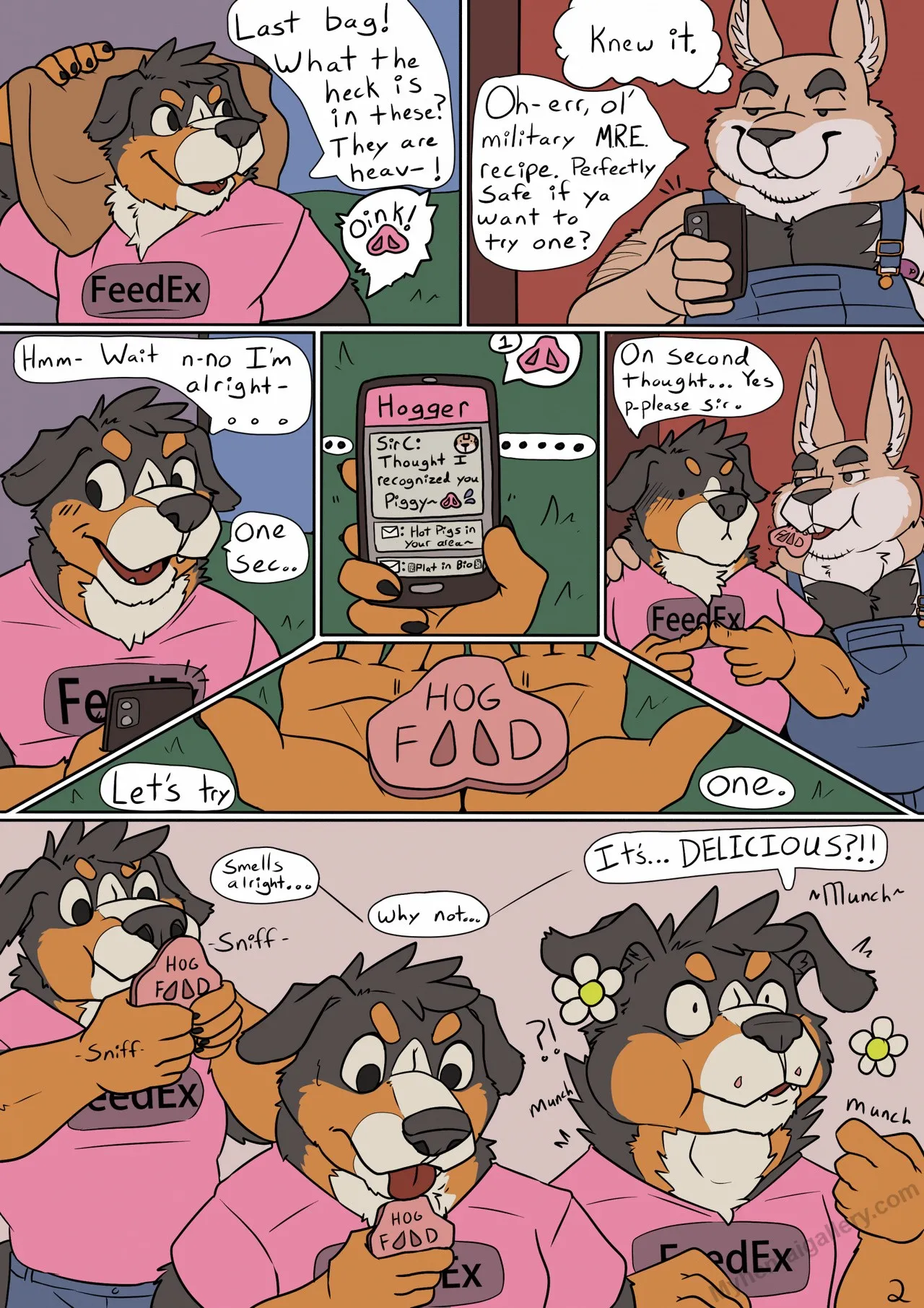 Page 3