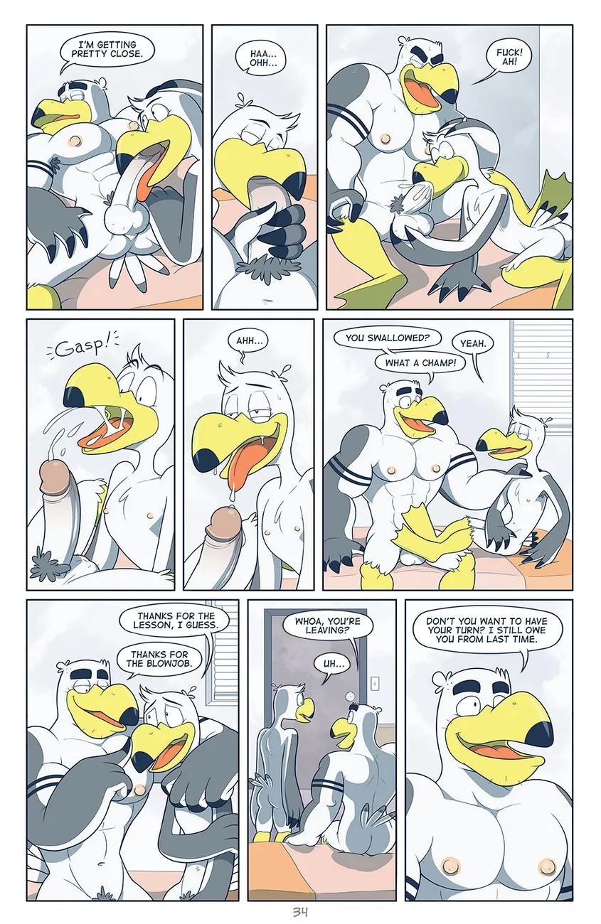Page 35