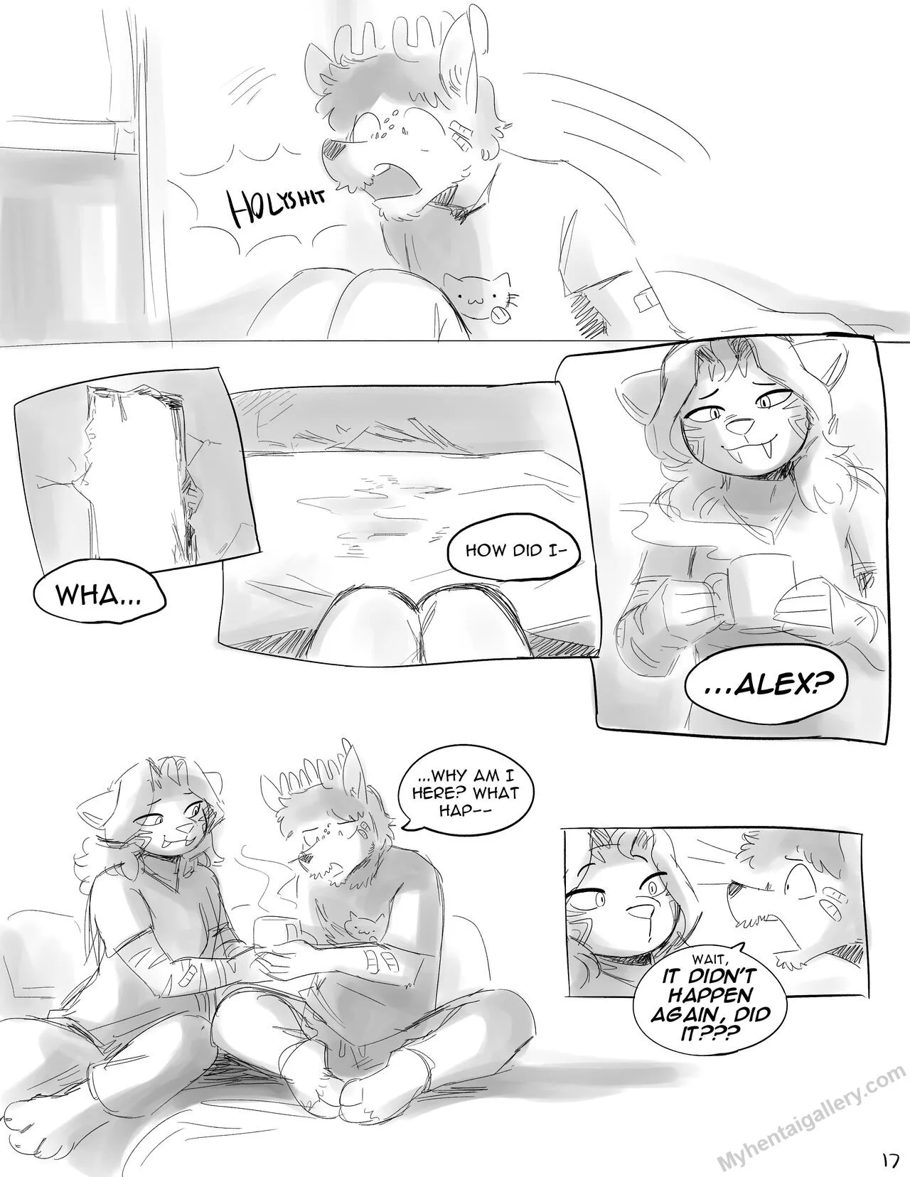 Page 17