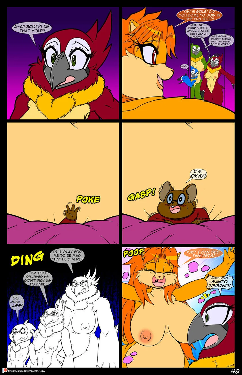 Page 43