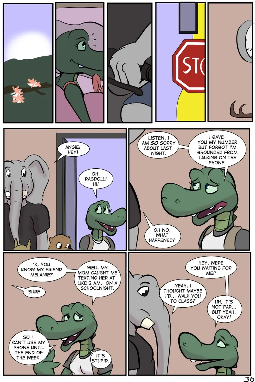 Page 31