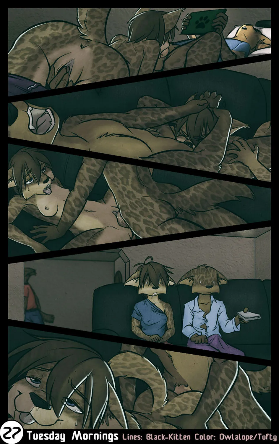Page 27