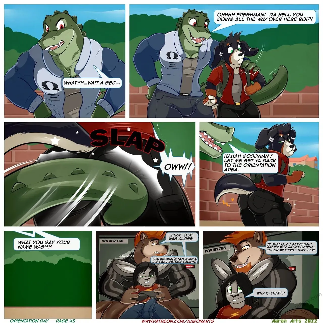 Page 46
