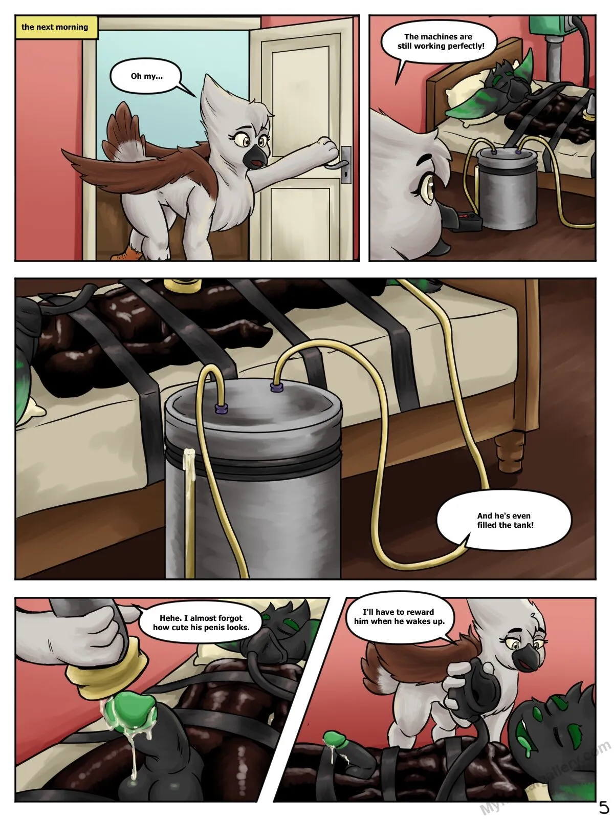 Page 5