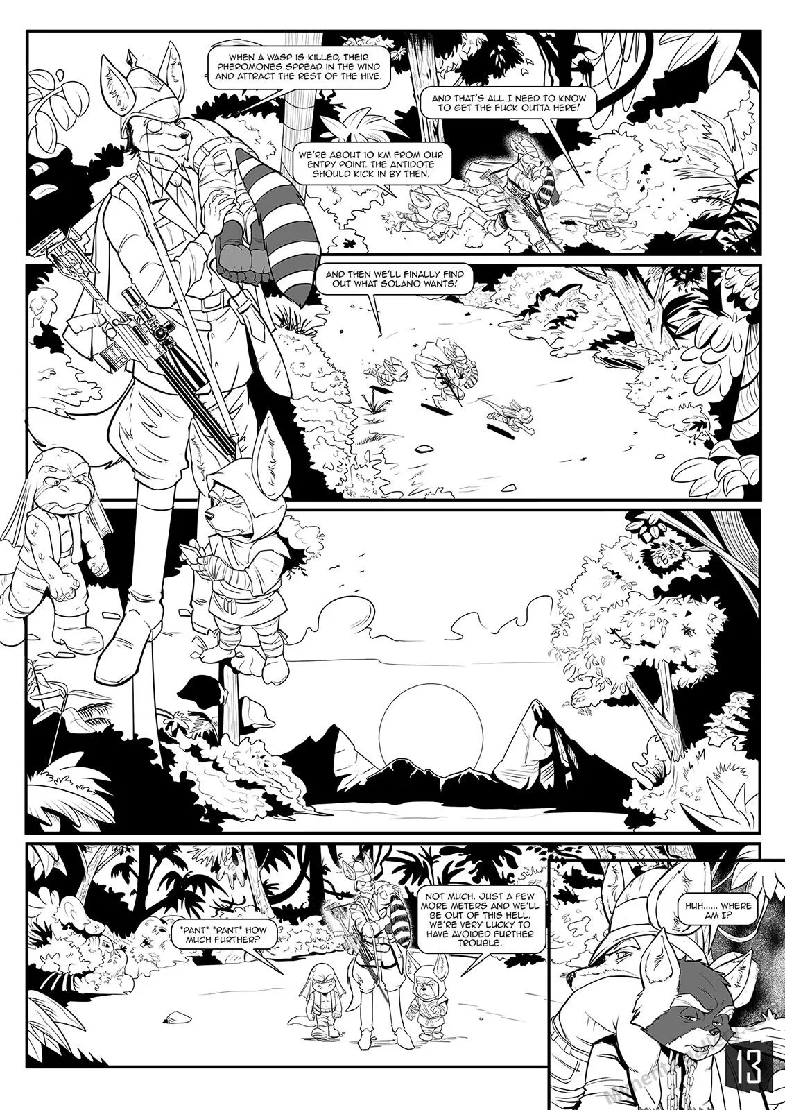Page 13