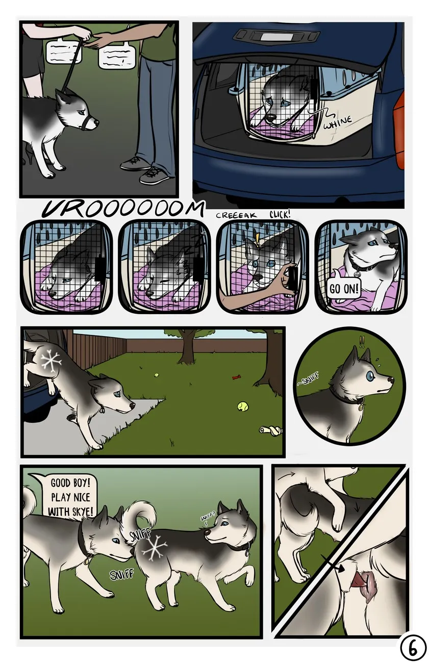 Page 6