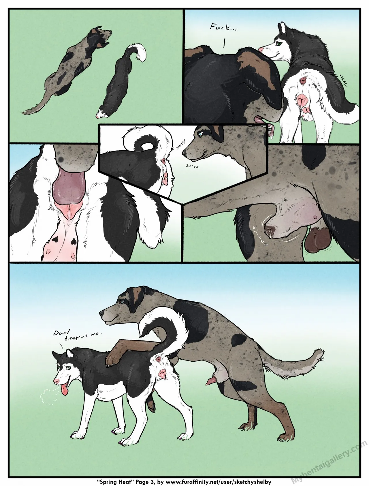 Page 3