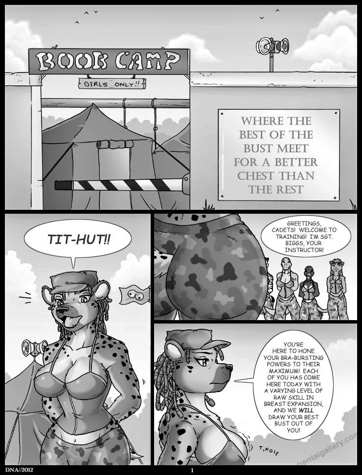 Boob Camp 1 porno comics Cover