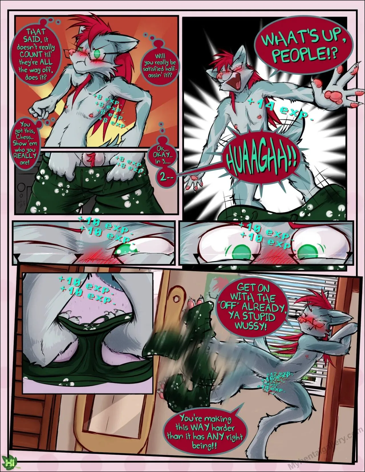 Page 11
