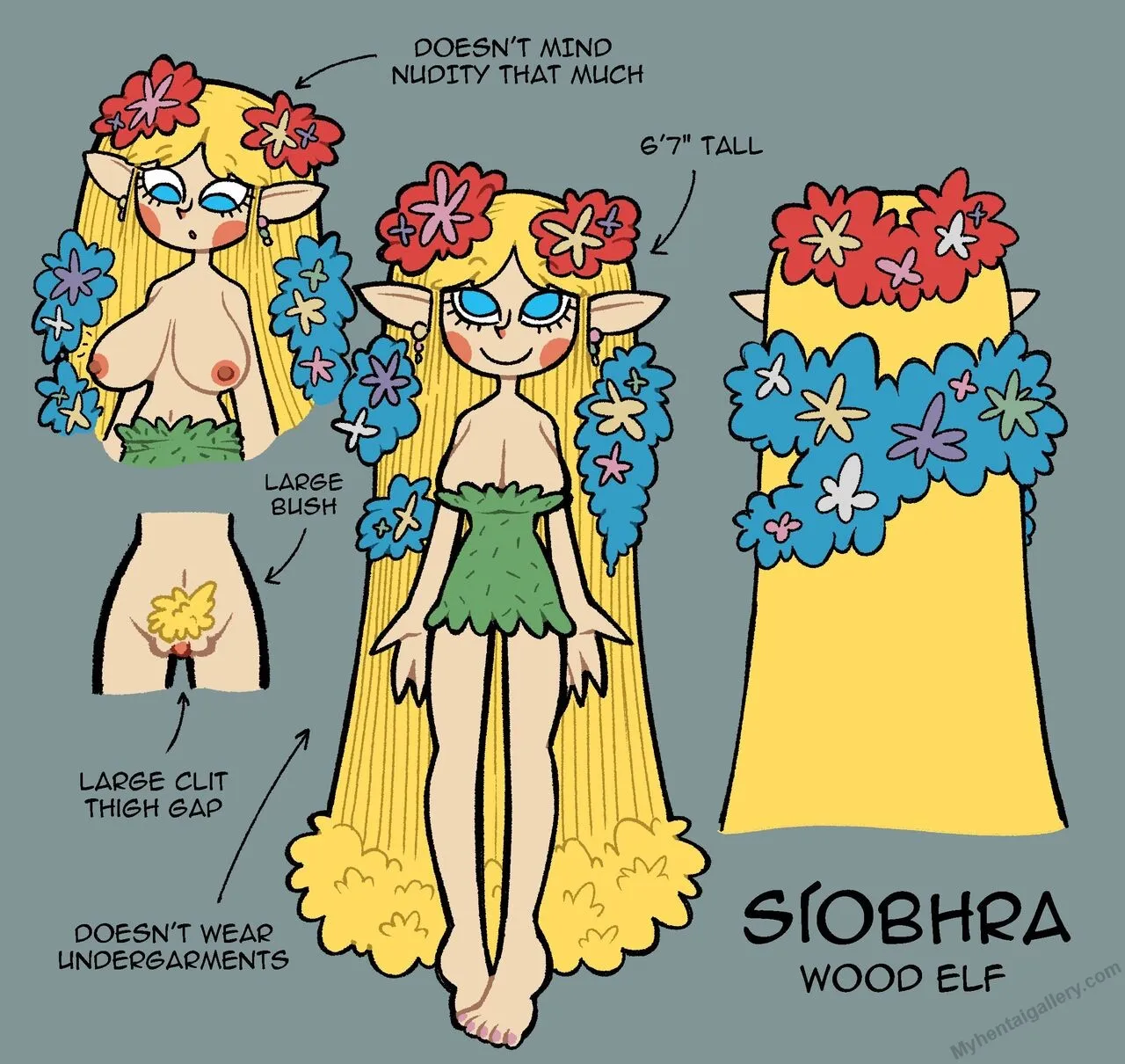 Siohbra The Elf porno comics Cover
