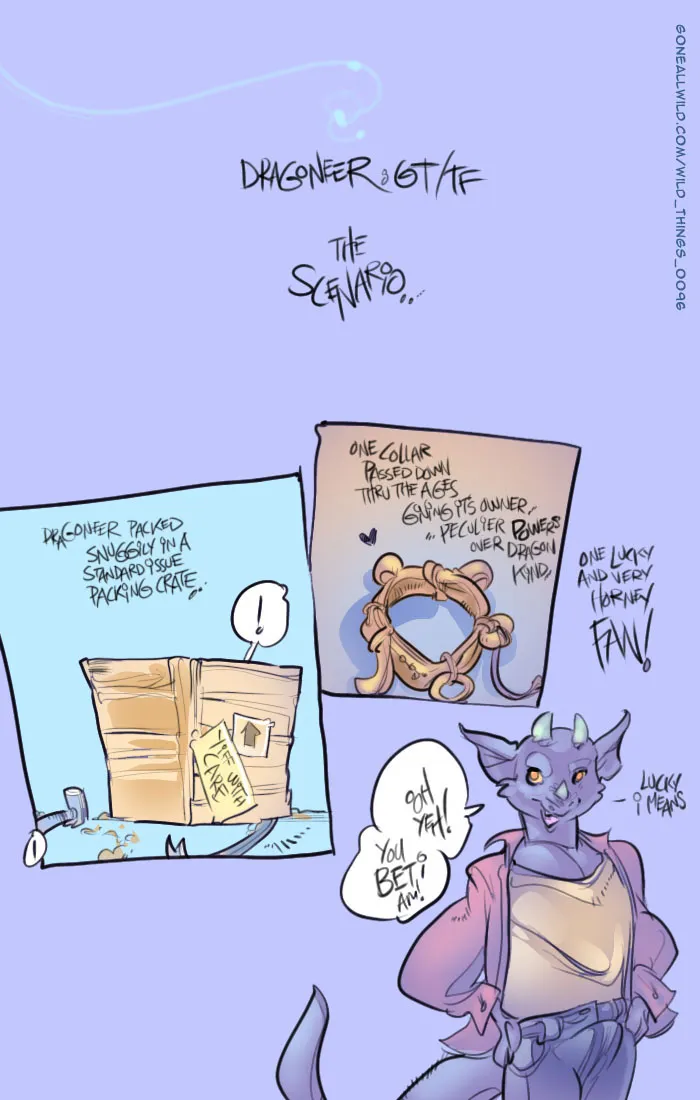 Dragoneer - The Scenario porno comics Cover