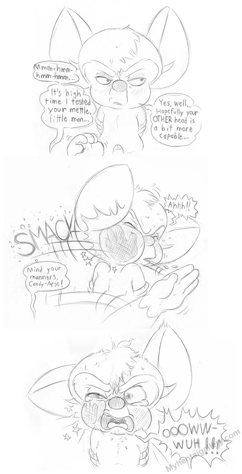 Snowball And Brain porno comics