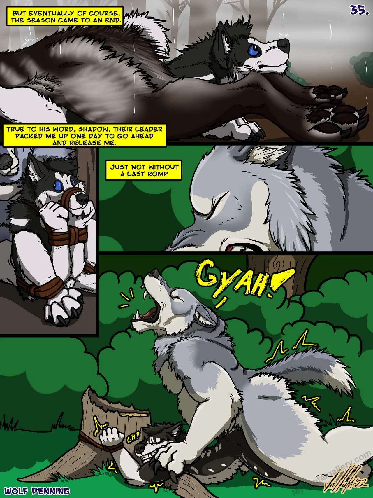 Page 35