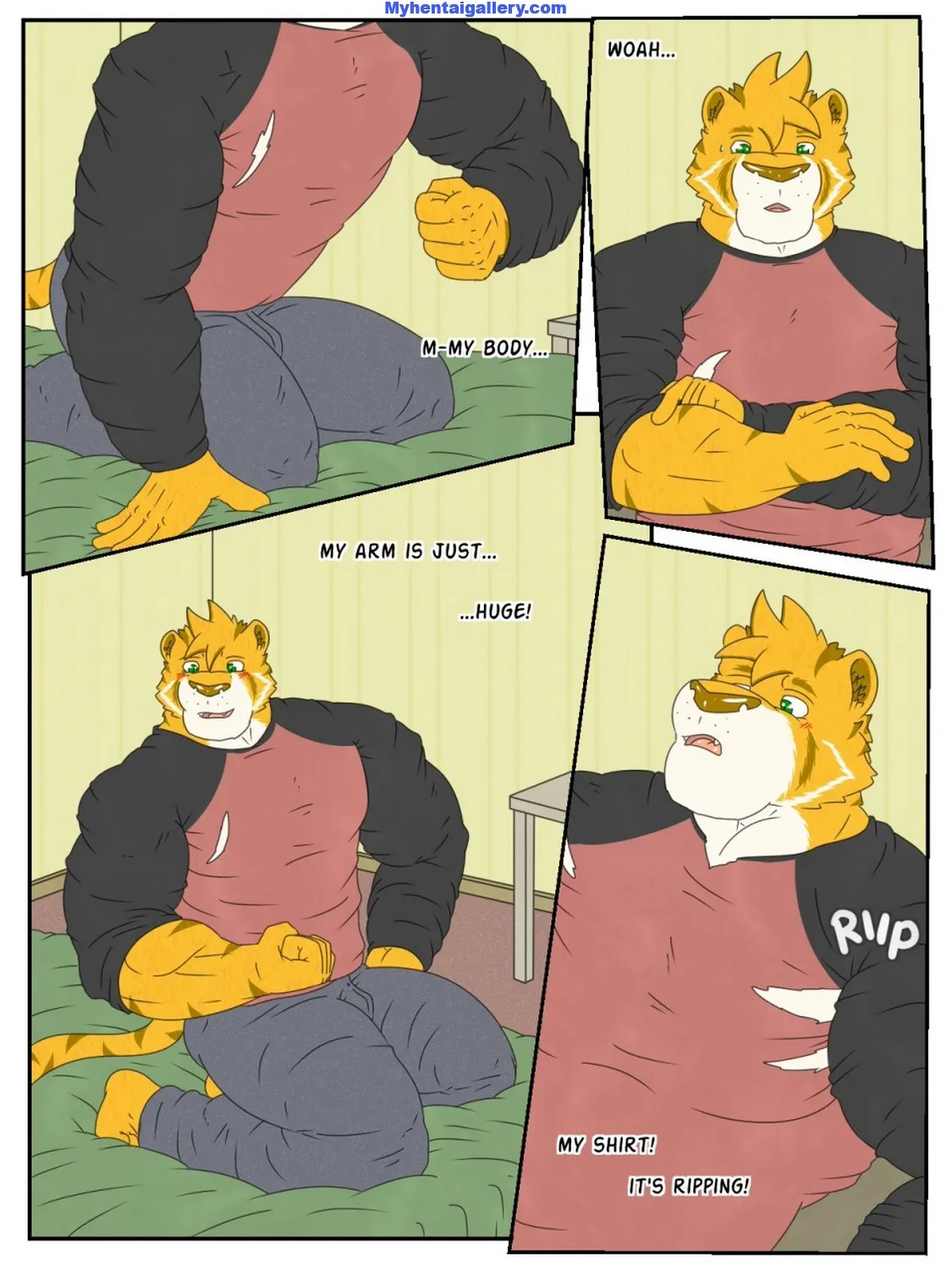Page 5